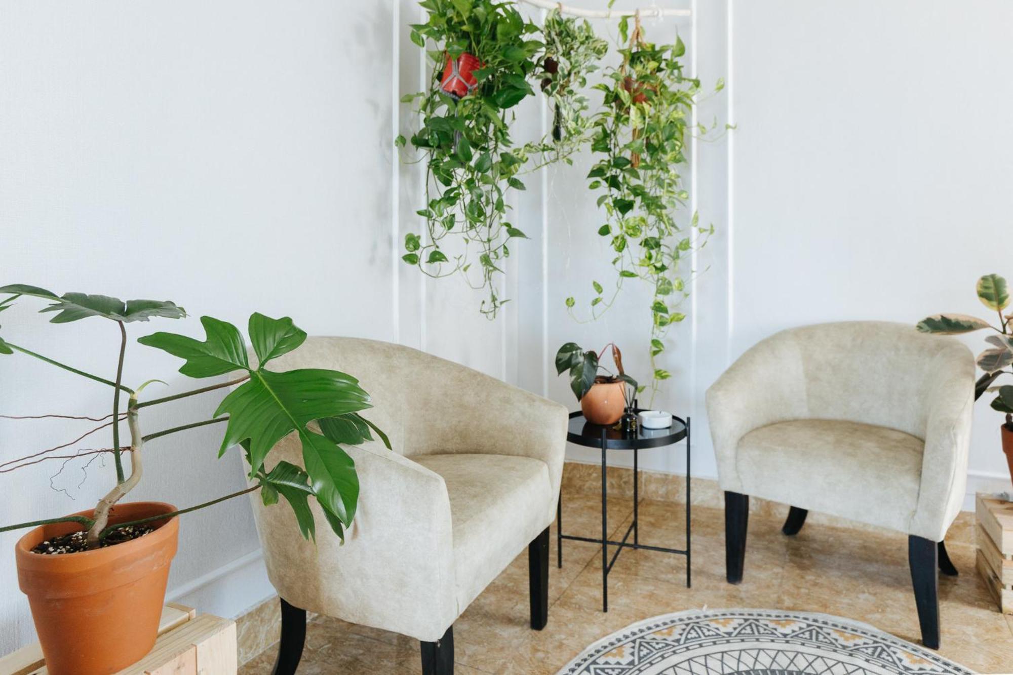 Ivy Hotel & Apartment - Stay 24H Ханой Екстериор снимка